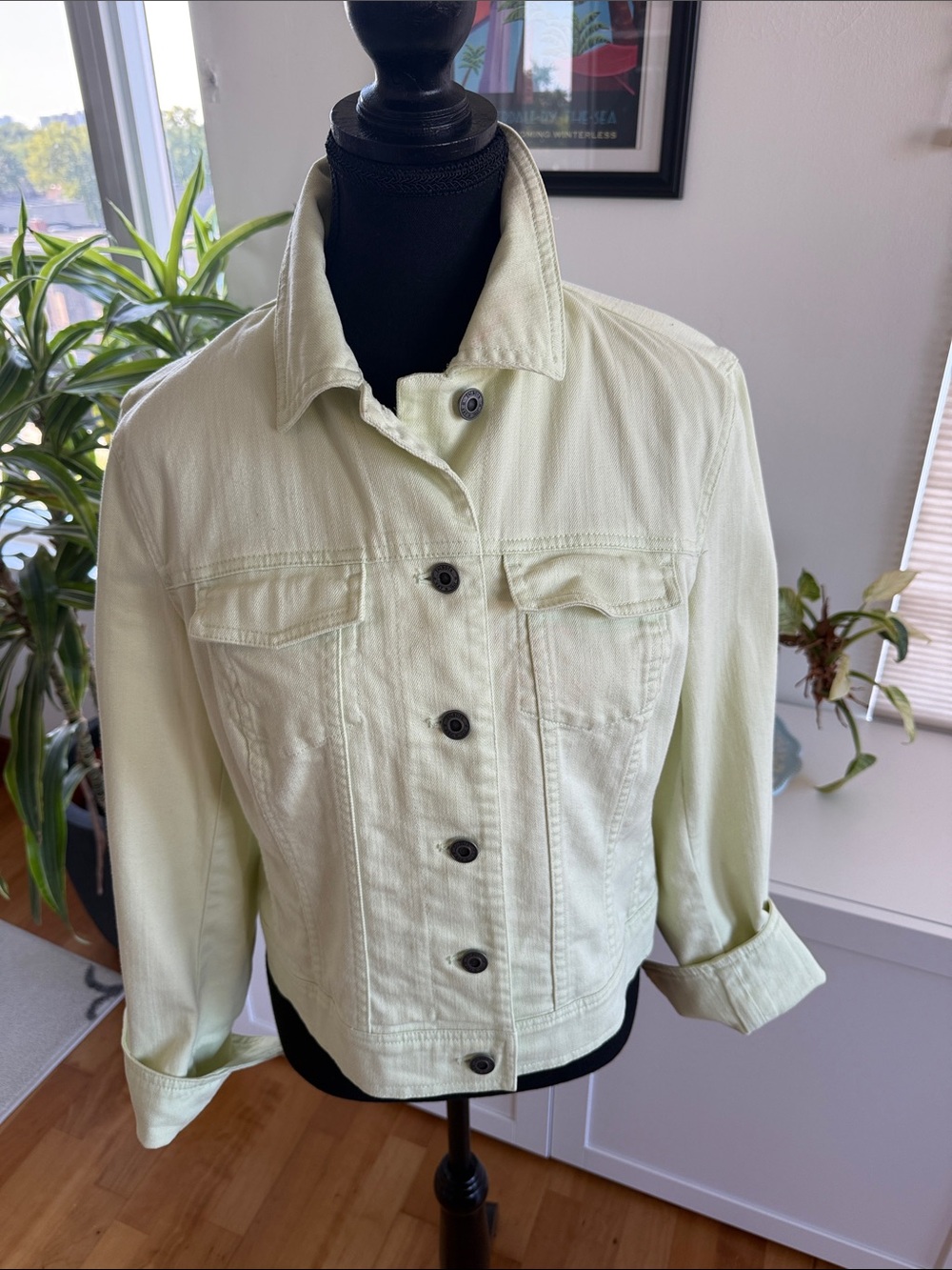 Talbots Light Sage Denim Jacket